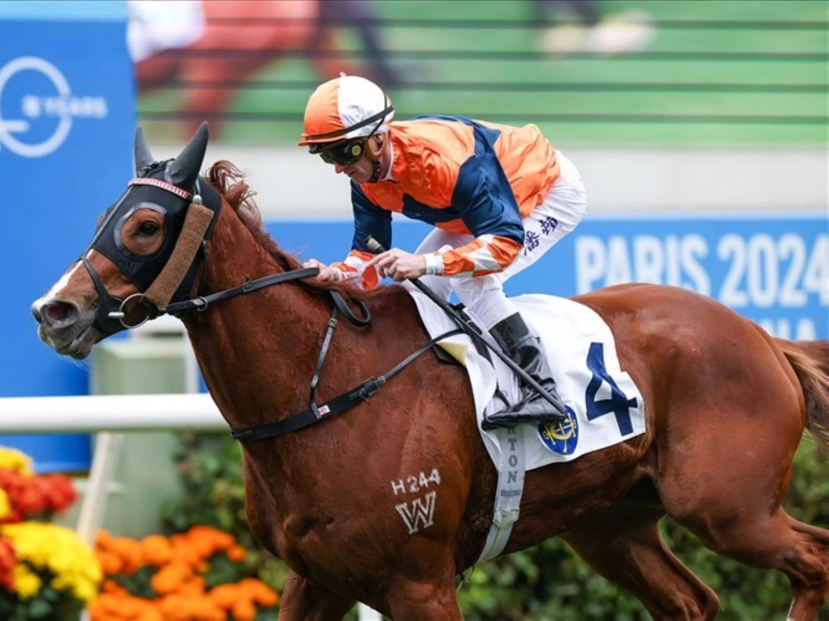 March 15 Hong Kong (Sha Tin) form analysis